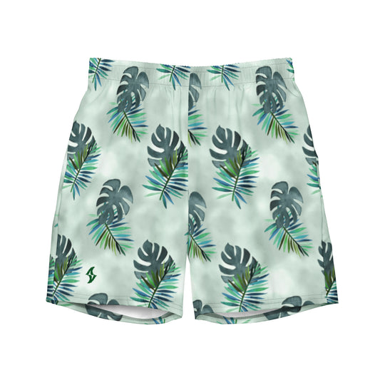 Mens Boardshorts: Surfstar 5.0